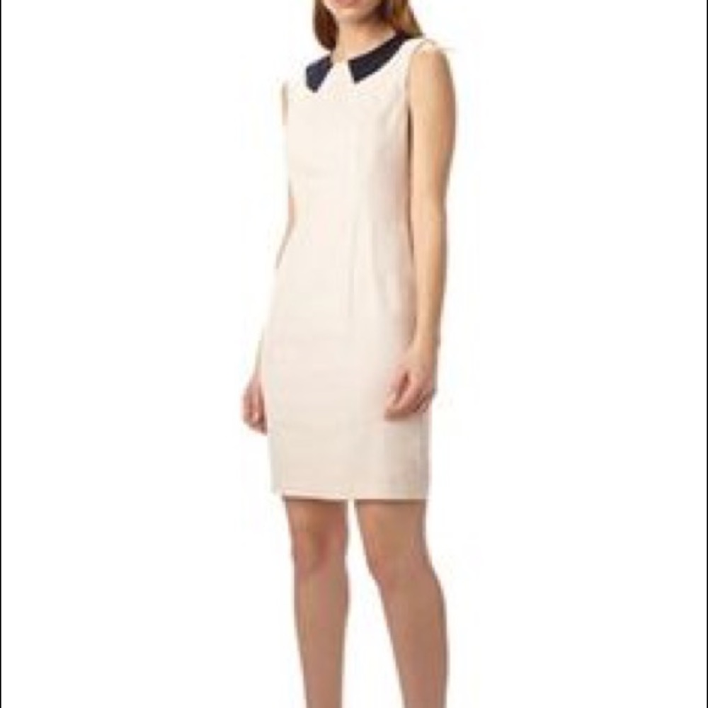 French Connection Summer Bug Collar Dress